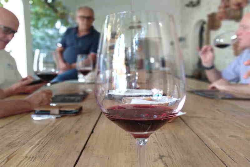 hand holding a glass of wine